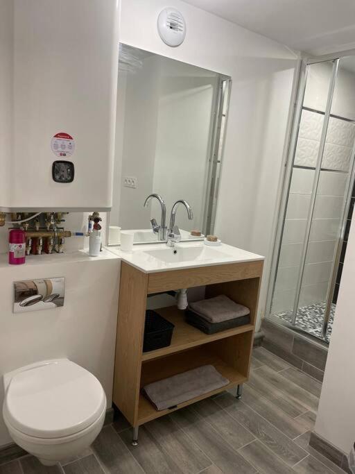 Apartment Rdc